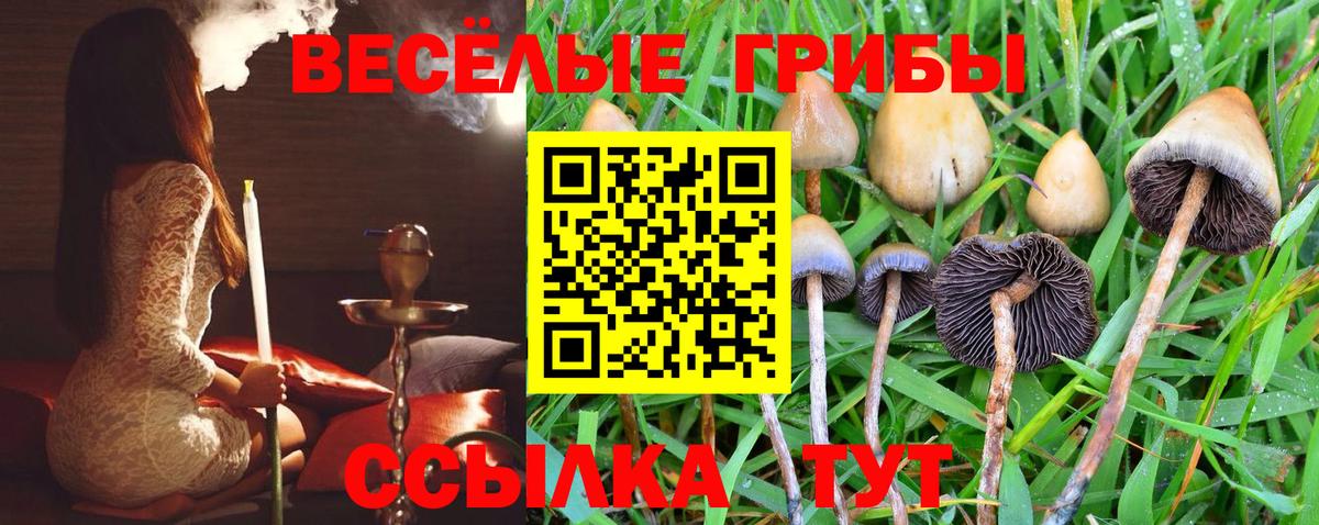 Темрюк  наркотики  Вход с VPN  Галлюциногенные грибы ЛСД 